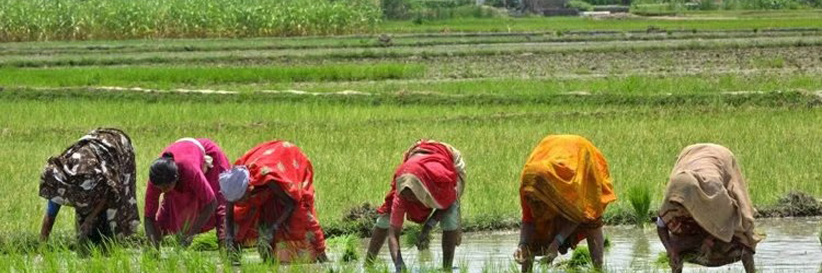 ATMA West Singhbhum, Chaibasa